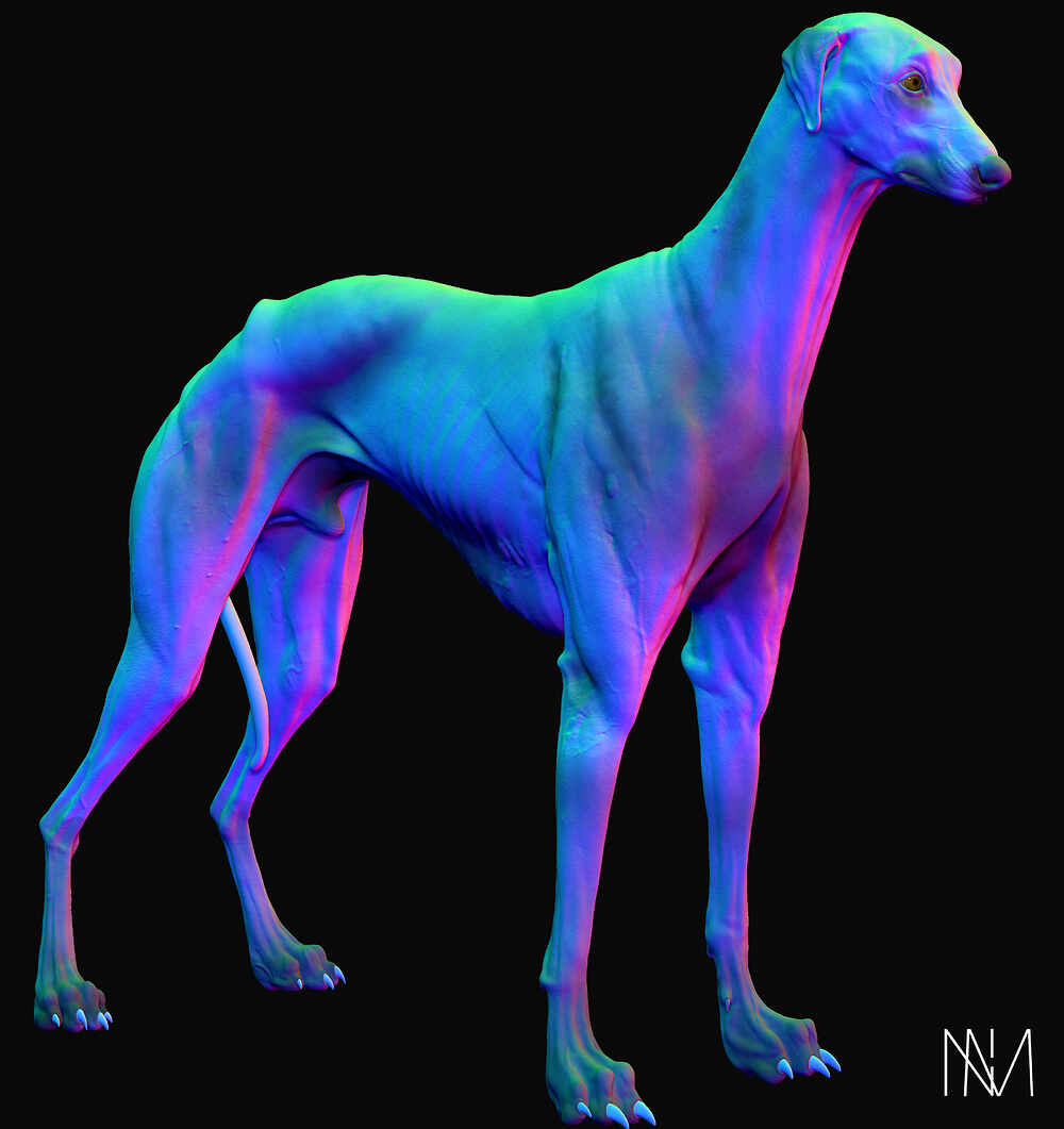 D_Normal