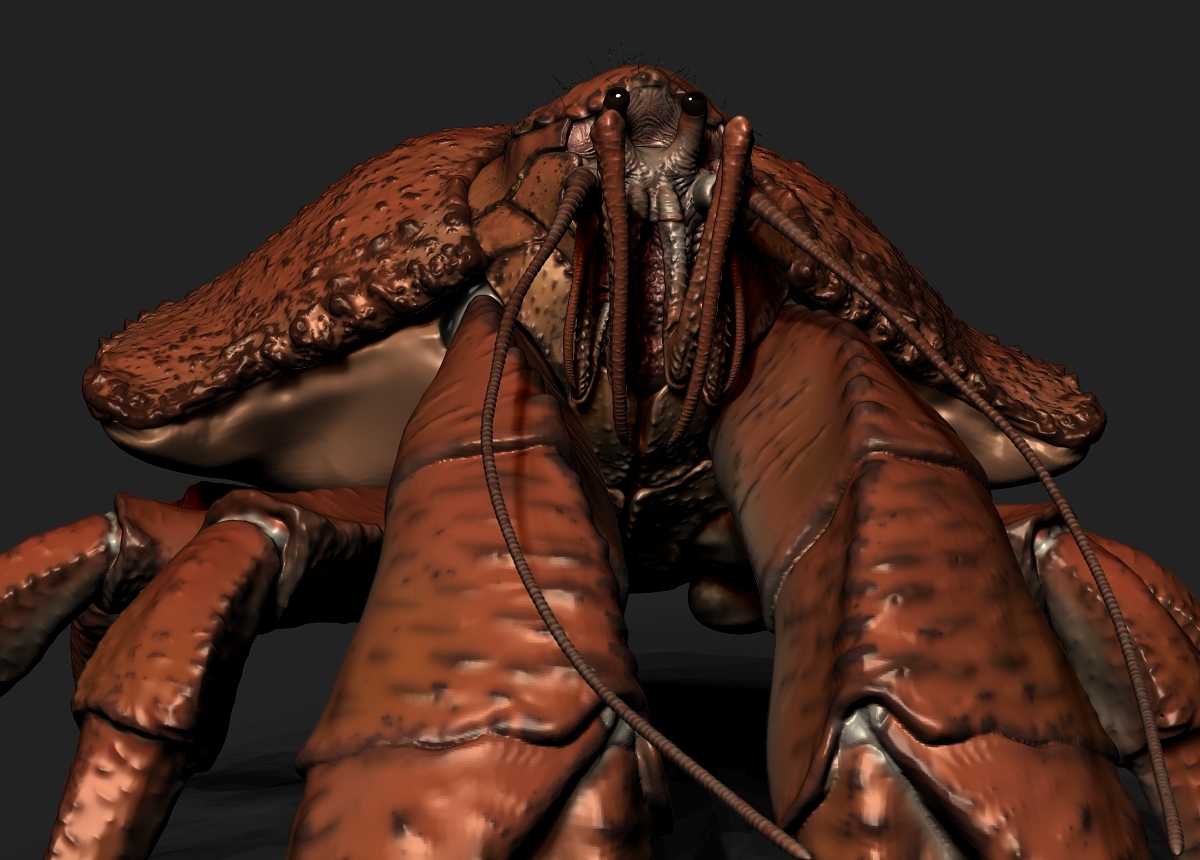 Crab3.jpg