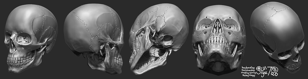 Skull02