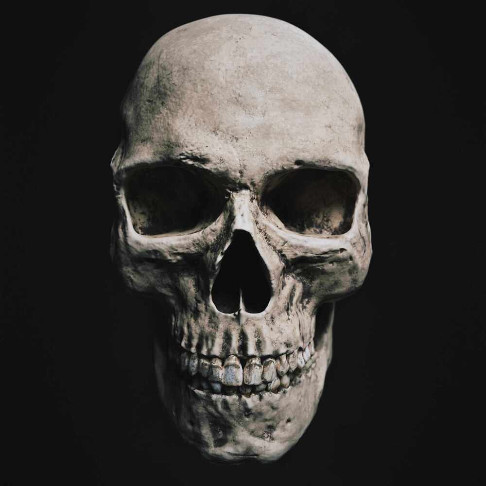 Skull_V2_R3CC