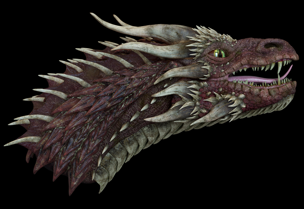 tete_dragon_texture_cam_3