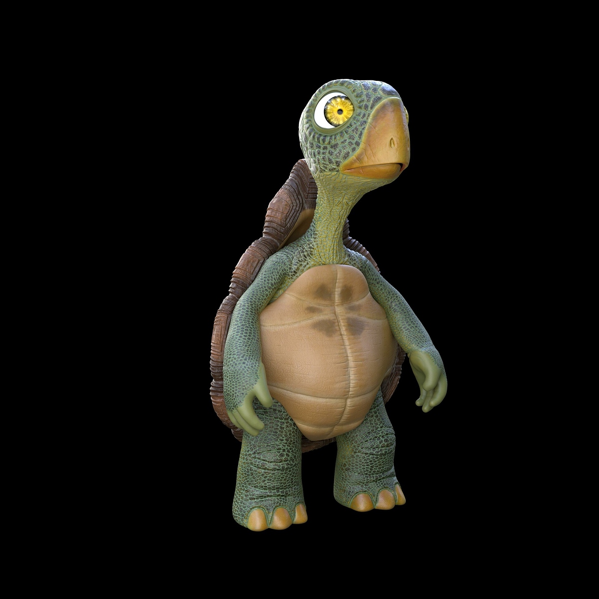 jorge-silva-tortugafront