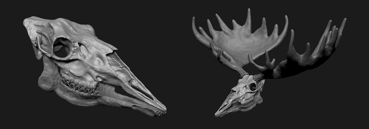skull_01