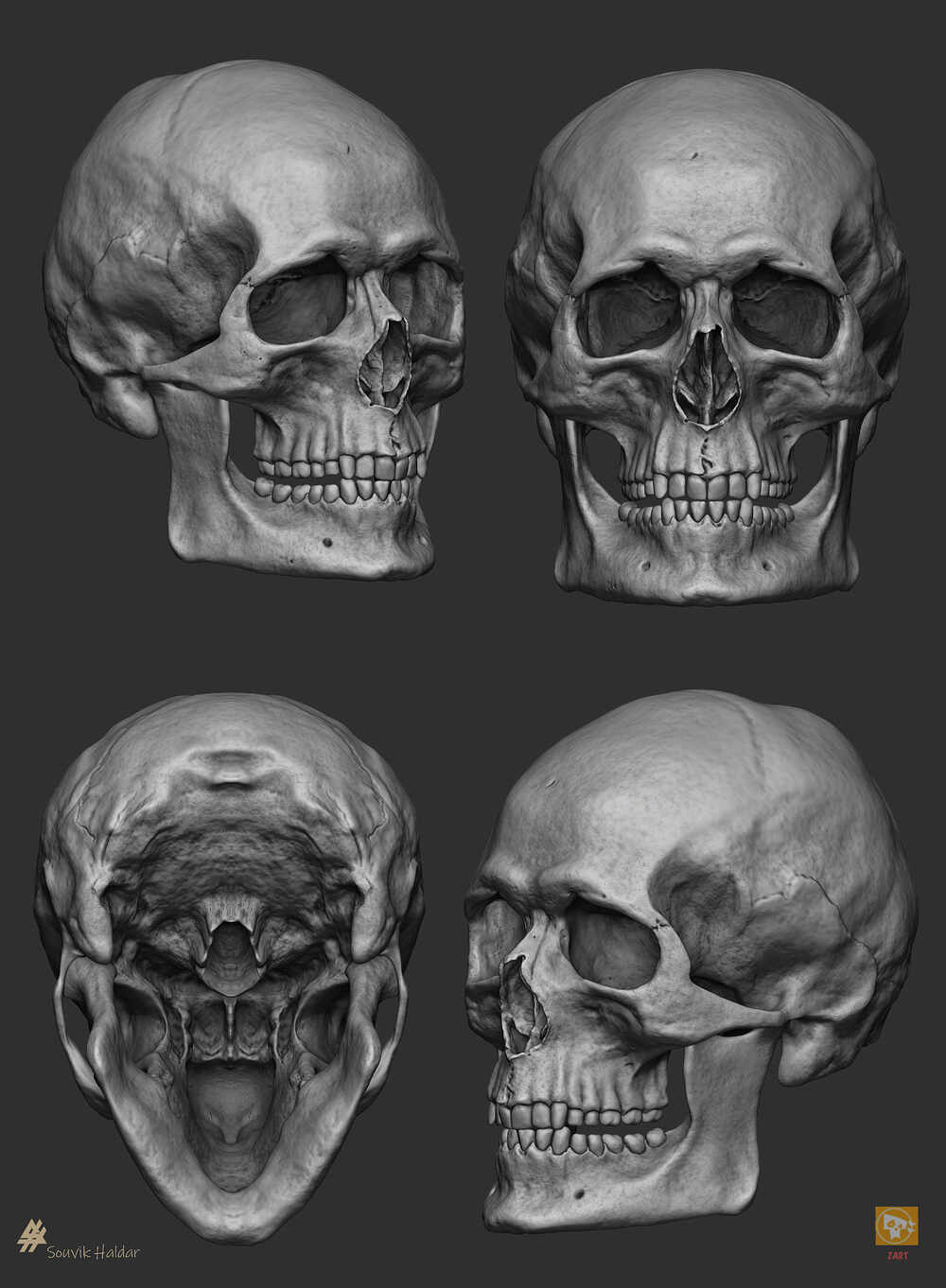 human-4skull_Souvik