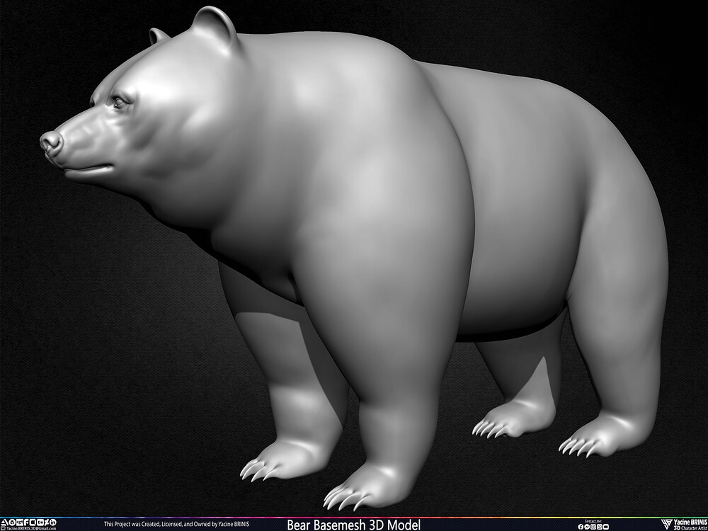 Bear Basemesh 3D Model Sculpted by Yacine BRINIS Set 016