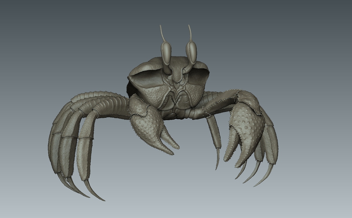 Zbrush