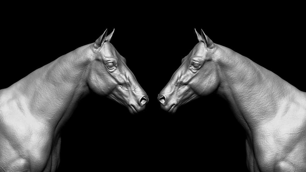 horse_w_2
