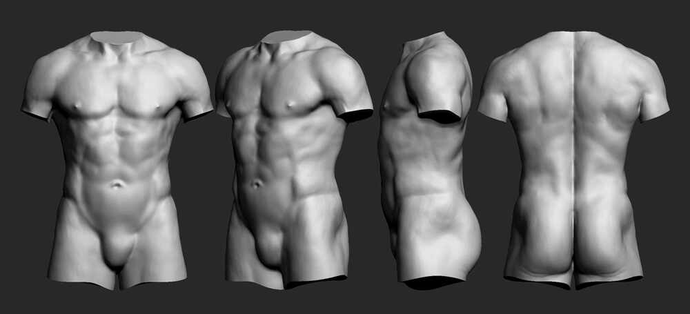 anatomy_zbrush2