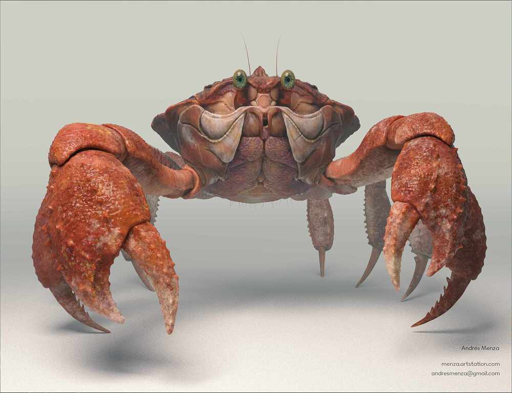 Crab_final_01