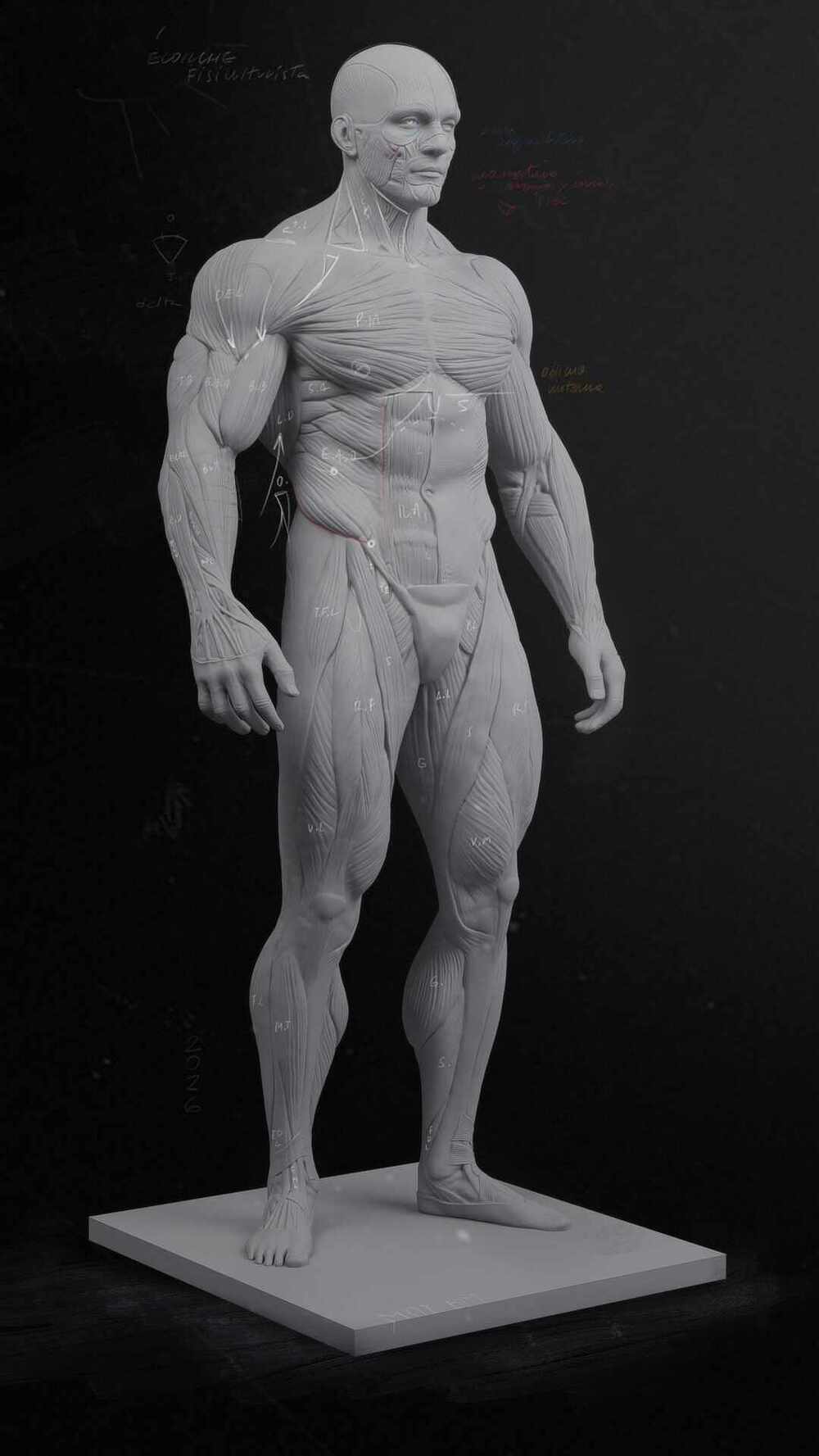 notas_ecorche_render