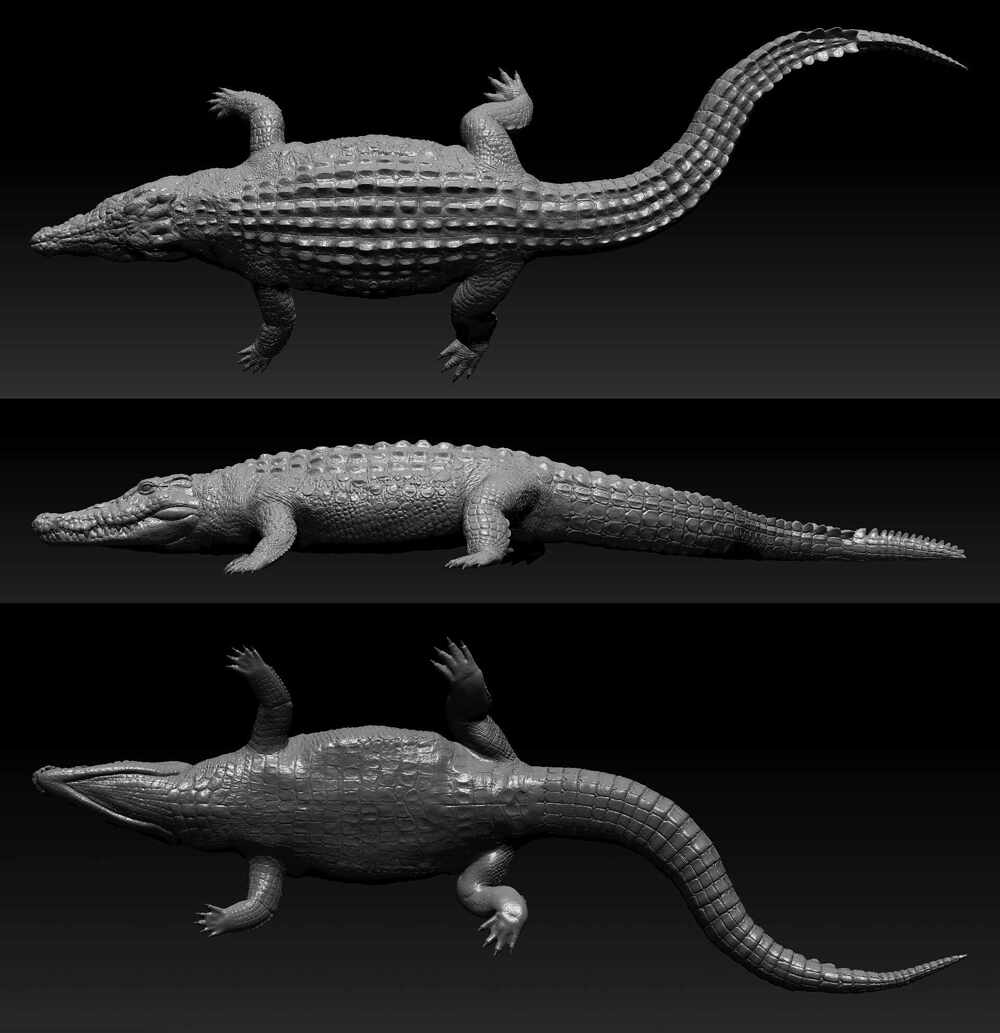 CROCO_SCULPT_01