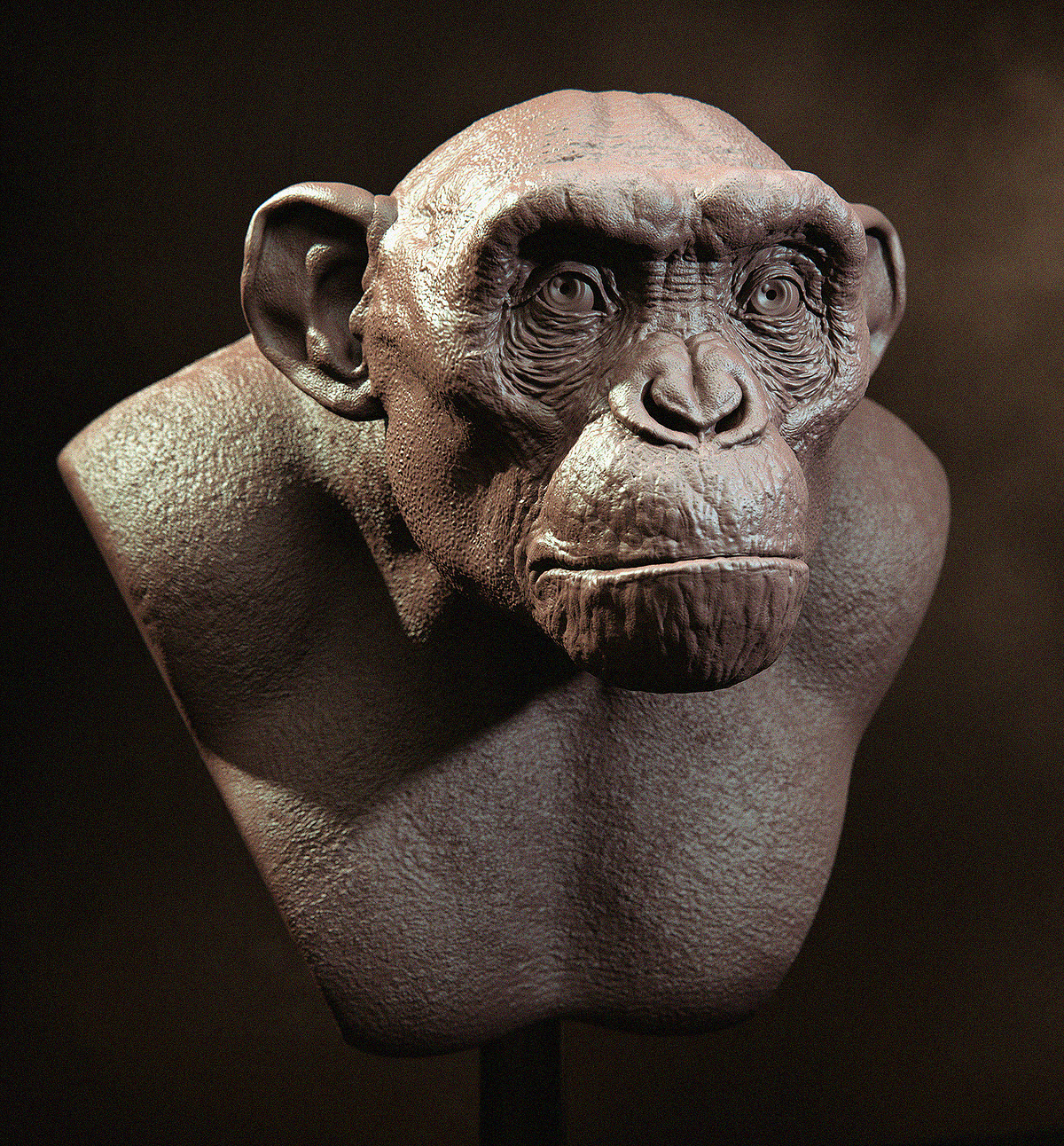 ape 001