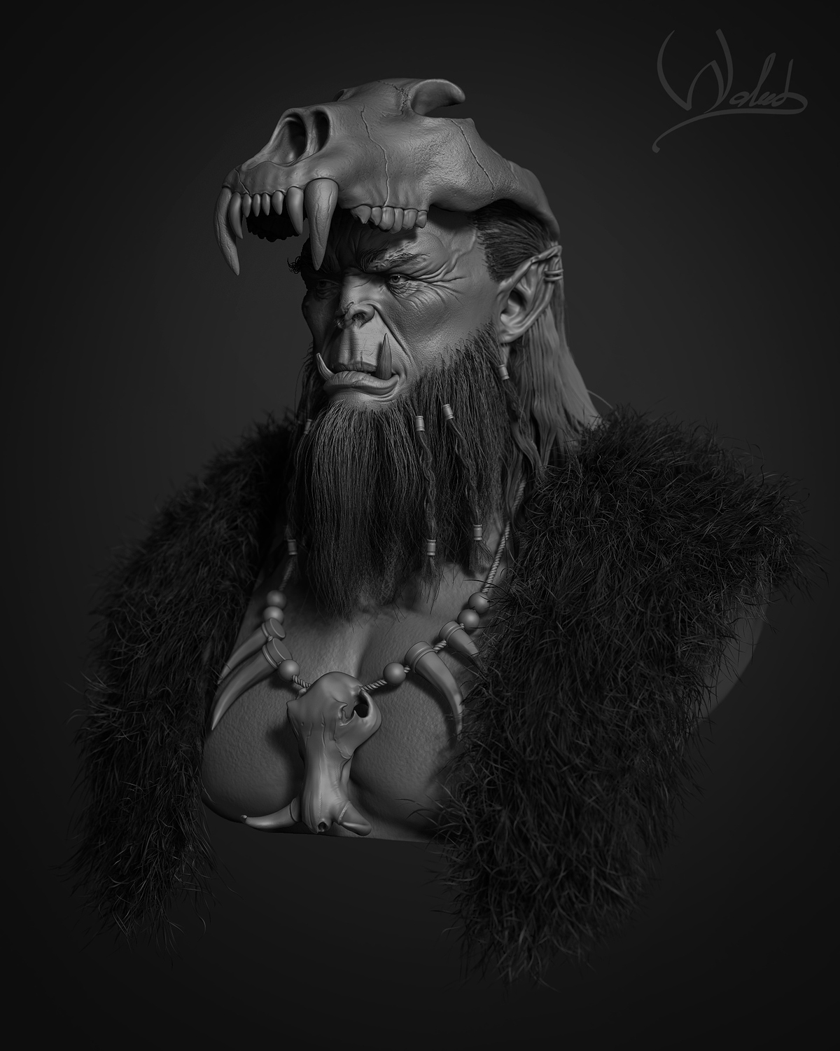 Orc_View3_comp
