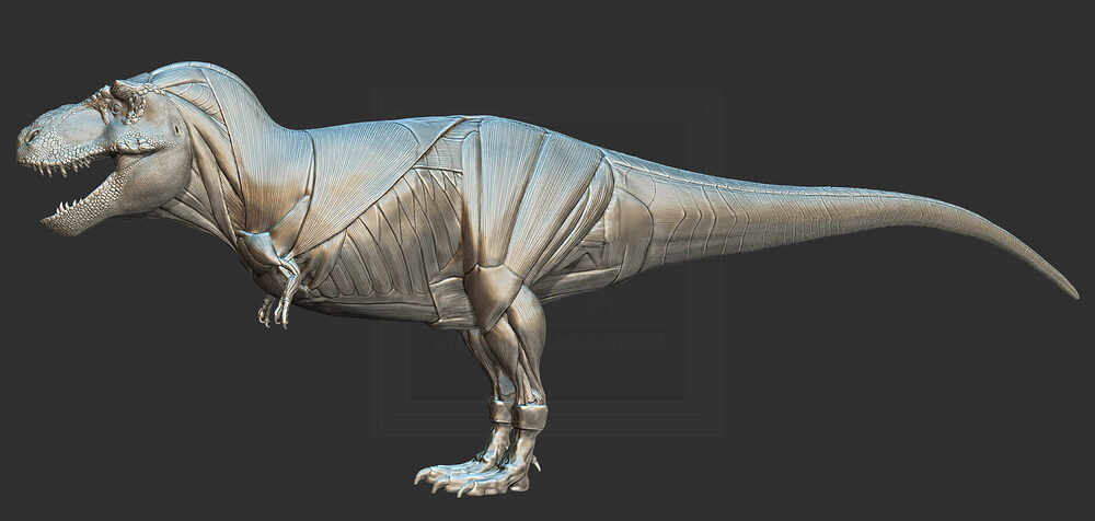 ZBrush Document11
