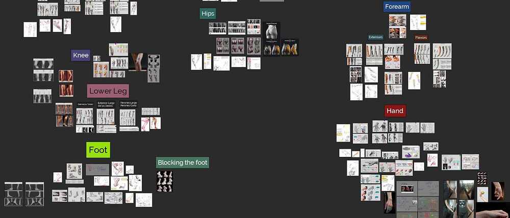 Muscles board 02