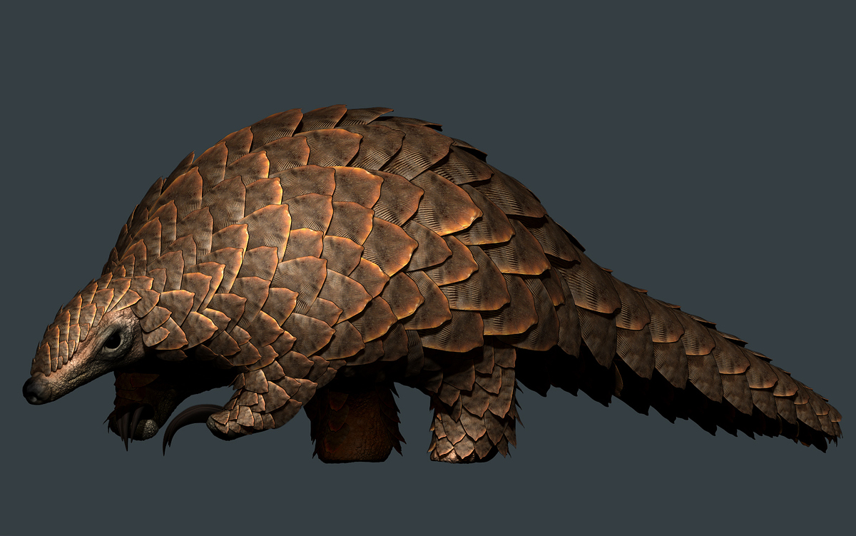 08_Pango