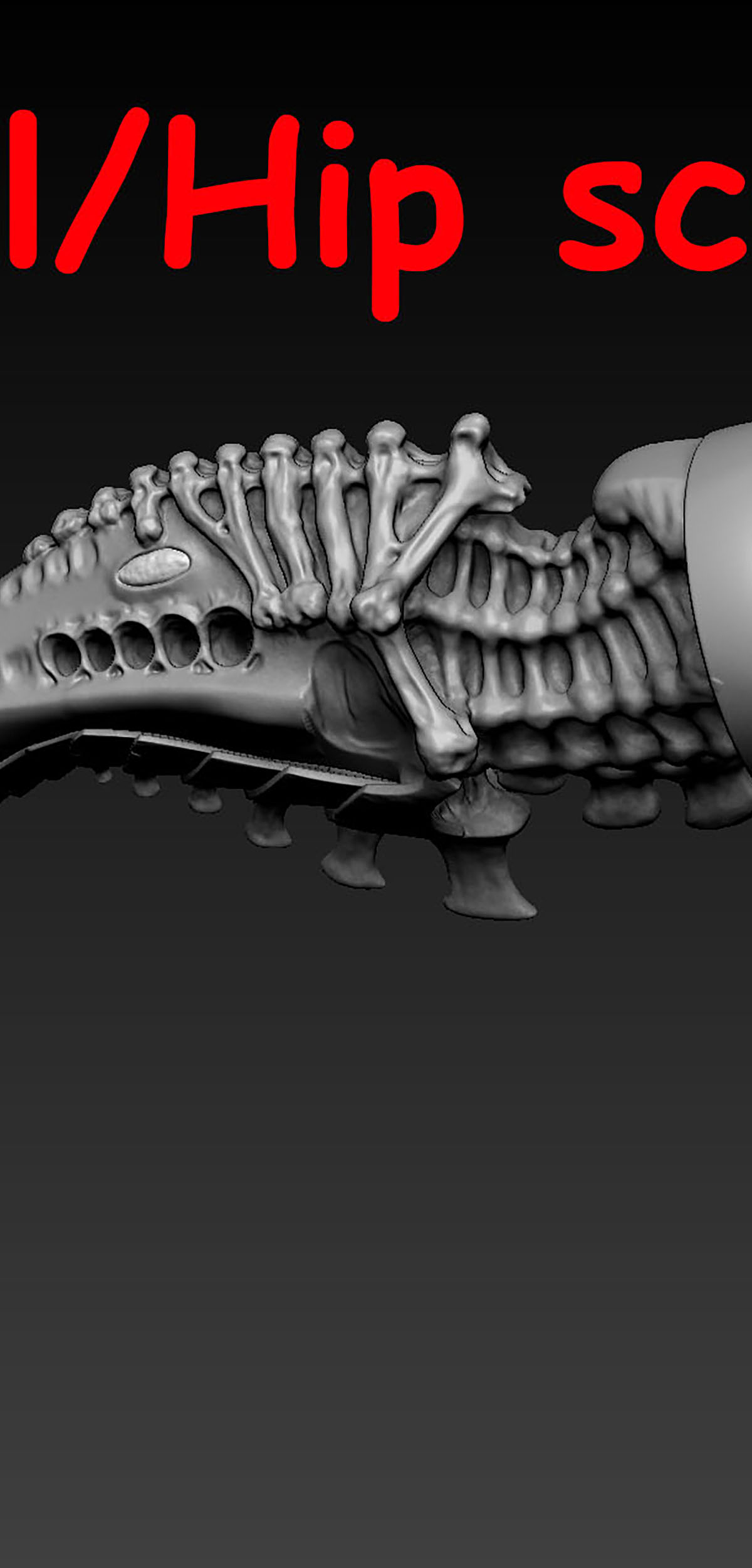 sculpt3.jpg