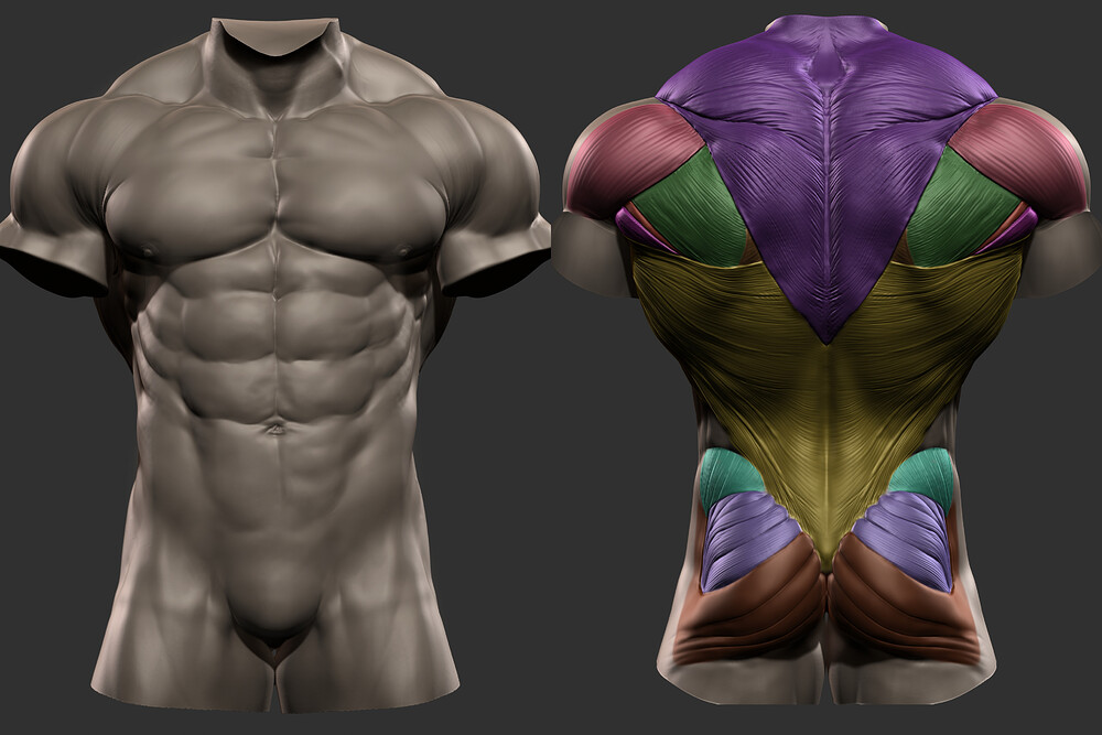 mo-mohanx-hossam-torso-wide-01