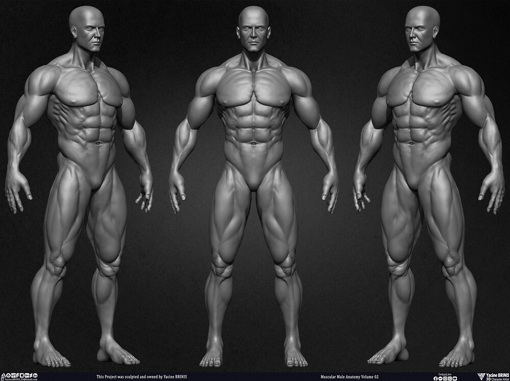 Muscular Male Anatomy Volume 2 3D Character sculpted by Yacine BRINIS 002