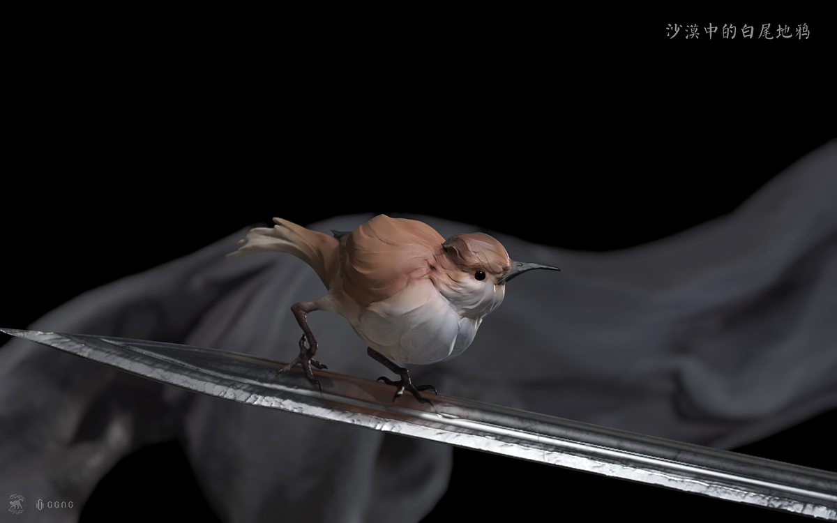 %E6%B2%99%E6%BC%A0%E7%99%BD%E5%B0%BE%E5%9C%B0%E9%B8%A6