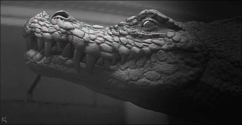 Crocodile1001_01.1002