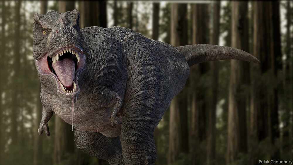 Render01