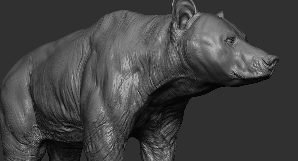 ZBrush_hUUcuLPjPB