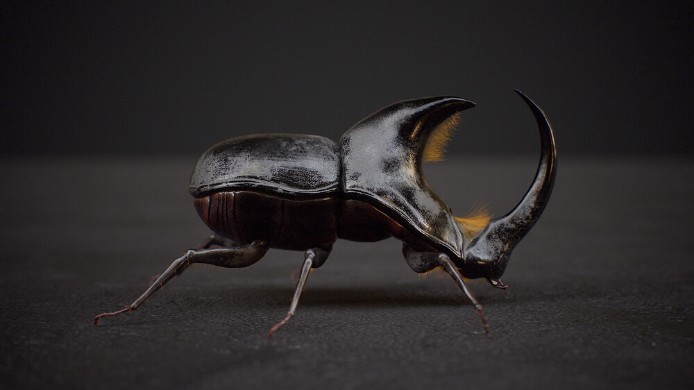 diego-viegas-tbrender-017