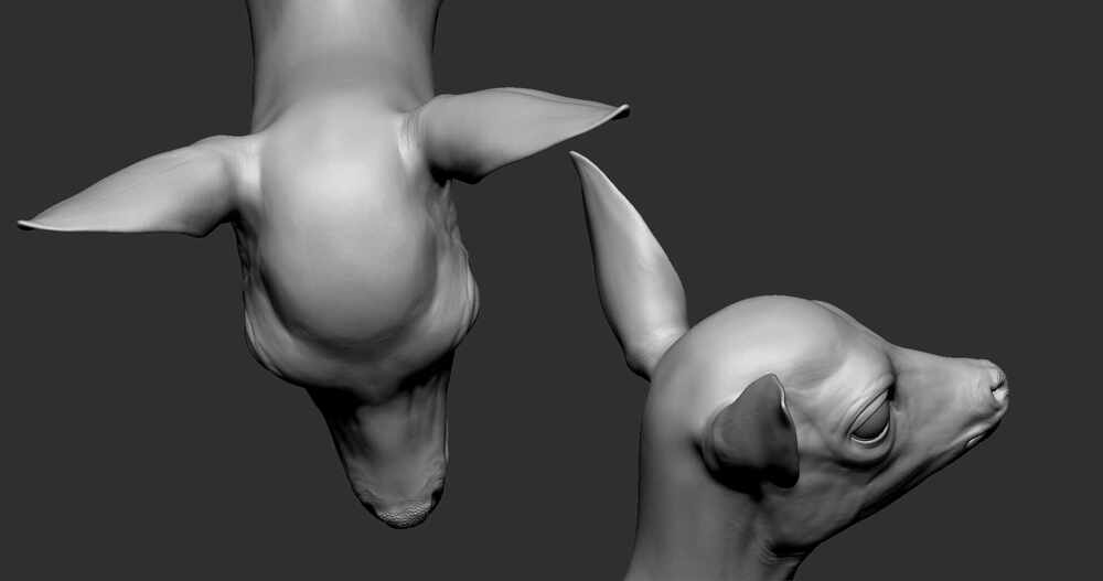 zbrush1003