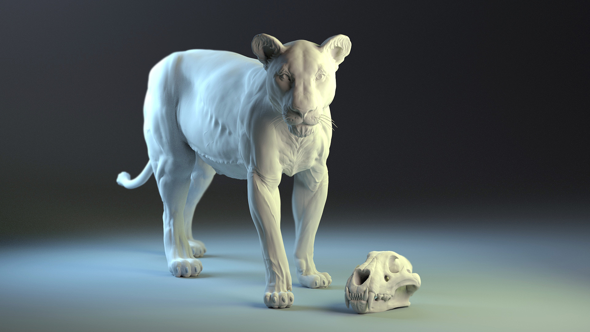 %20Lion%20standing%202