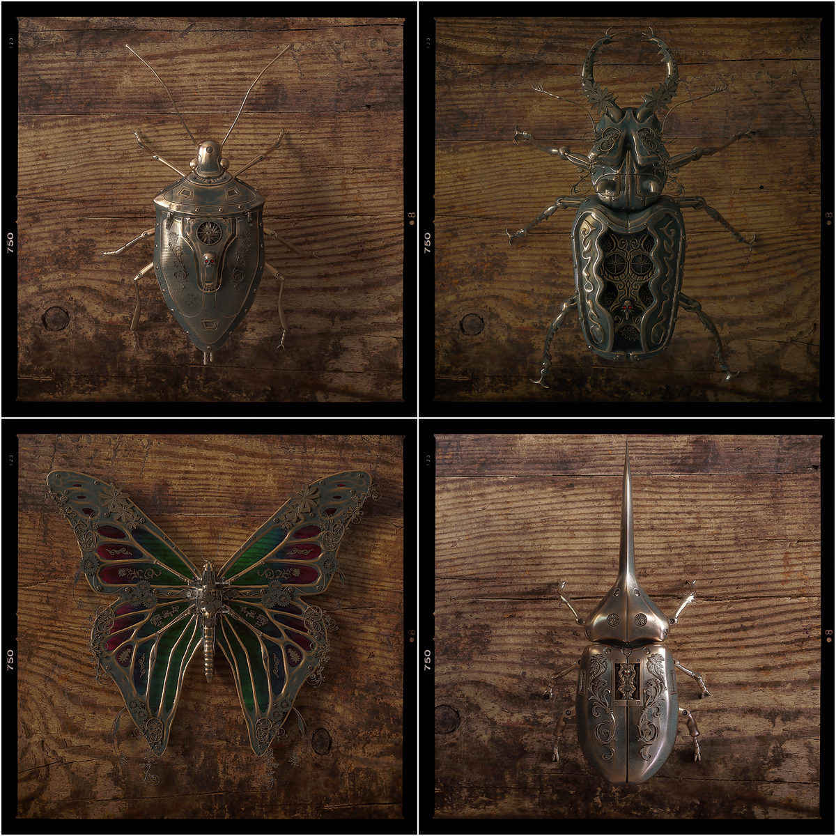 Golden Insects Collage