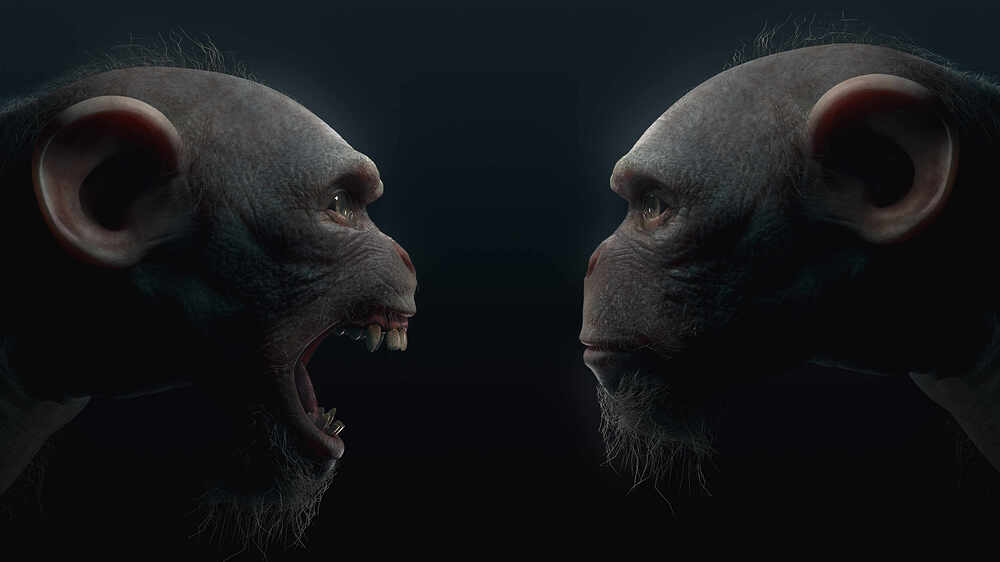 AOW_ChimpFaceoff