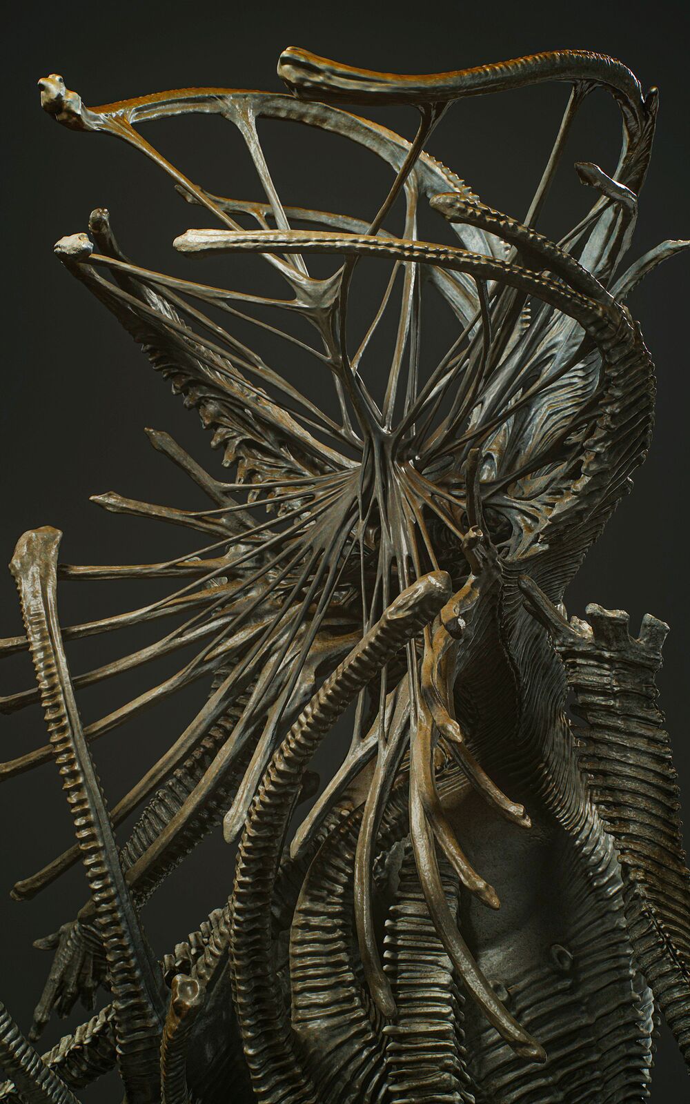Partially2_Cold_Symmetry_0015