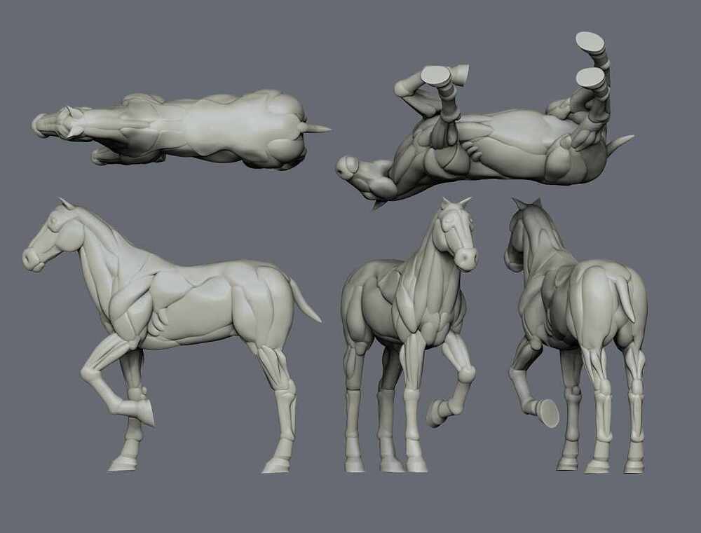 horsewip