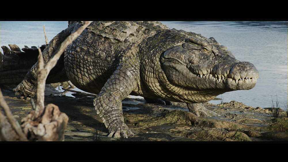 charCrocodile_poseenv_0002