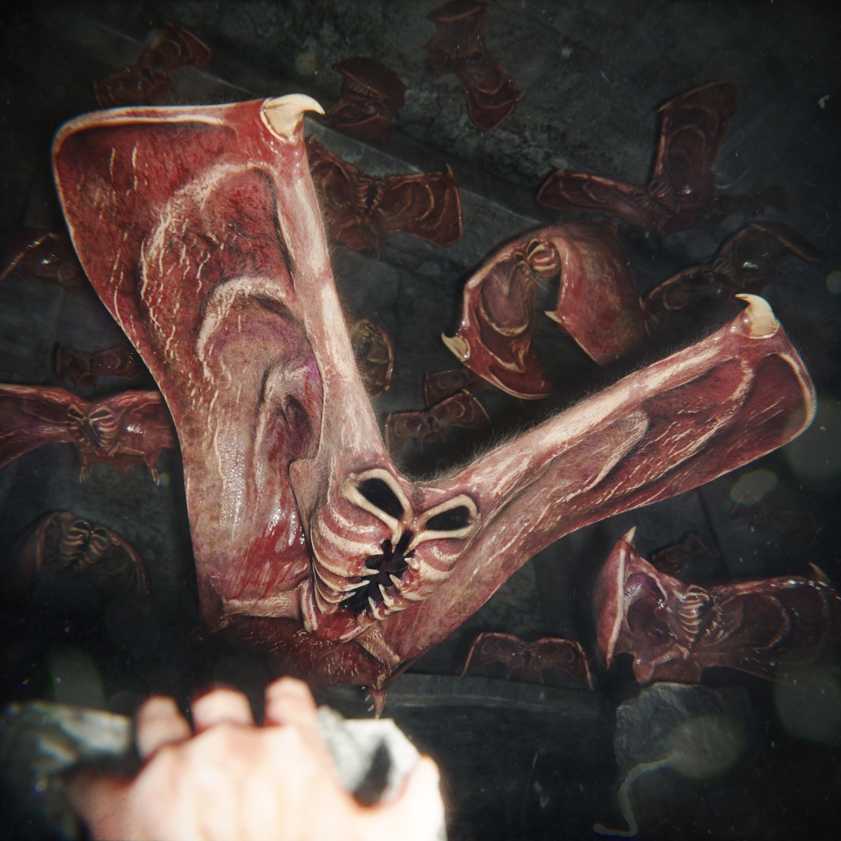 BlemmFly_Daily7_Final
