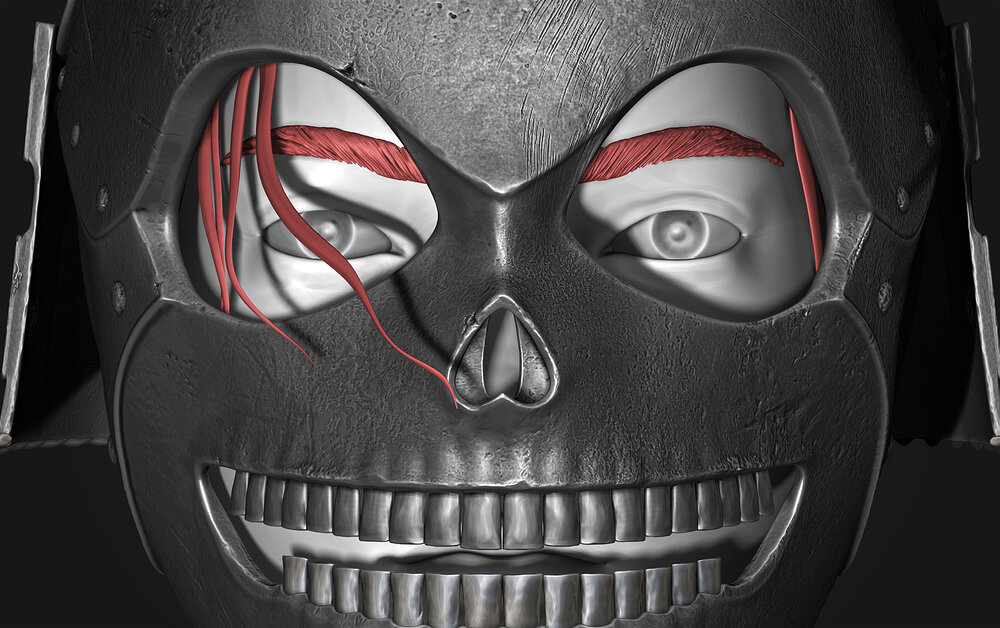 Helmet 11