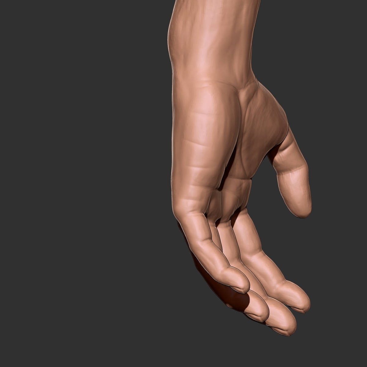 hand3.jpg