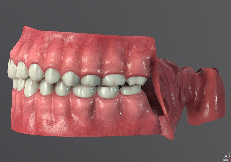 Toolbag_screenshot_06