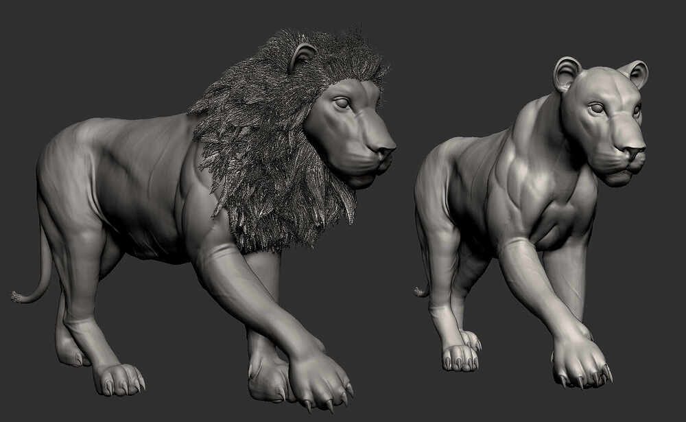 ZBrush Document