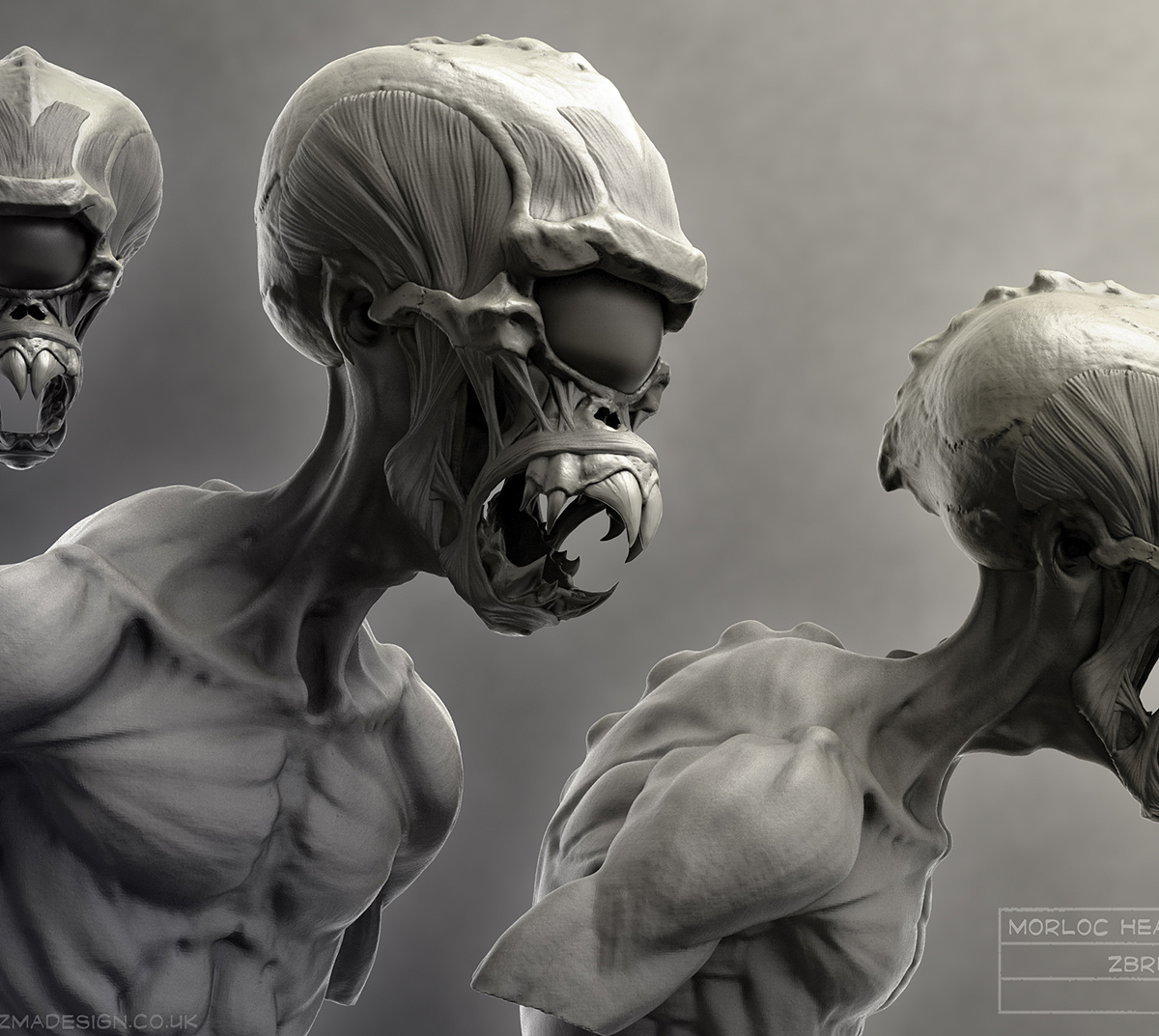 Morloc_ecorche_head_study_v001.jpg