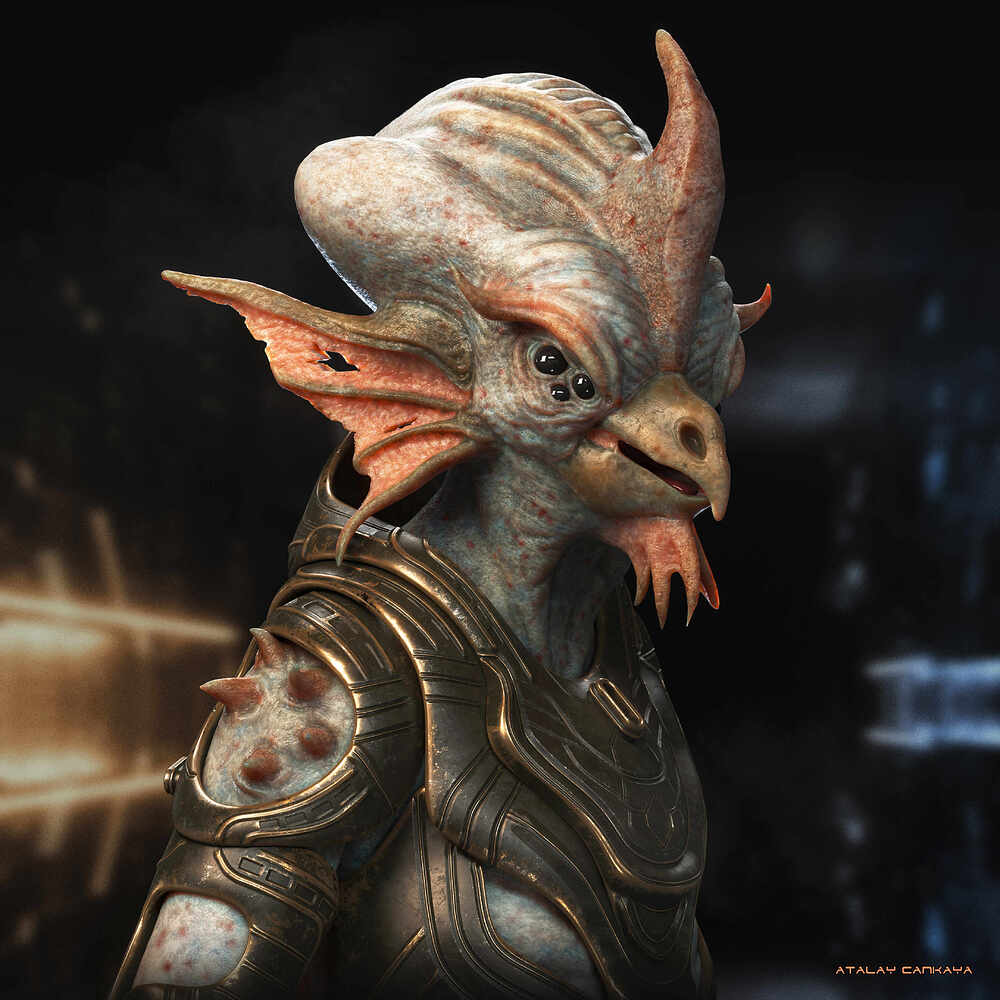 Space Chicken 9