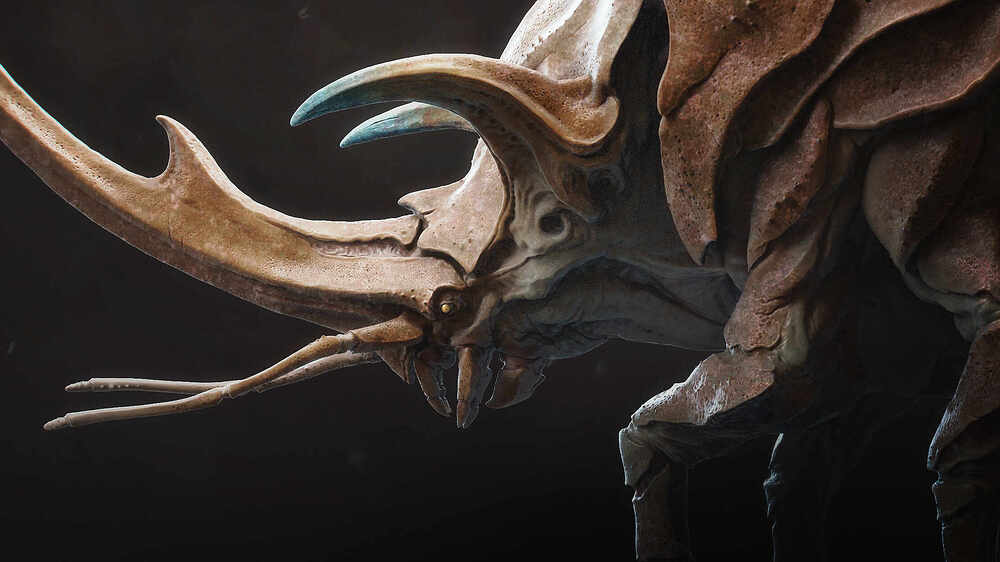 rhinoboy2