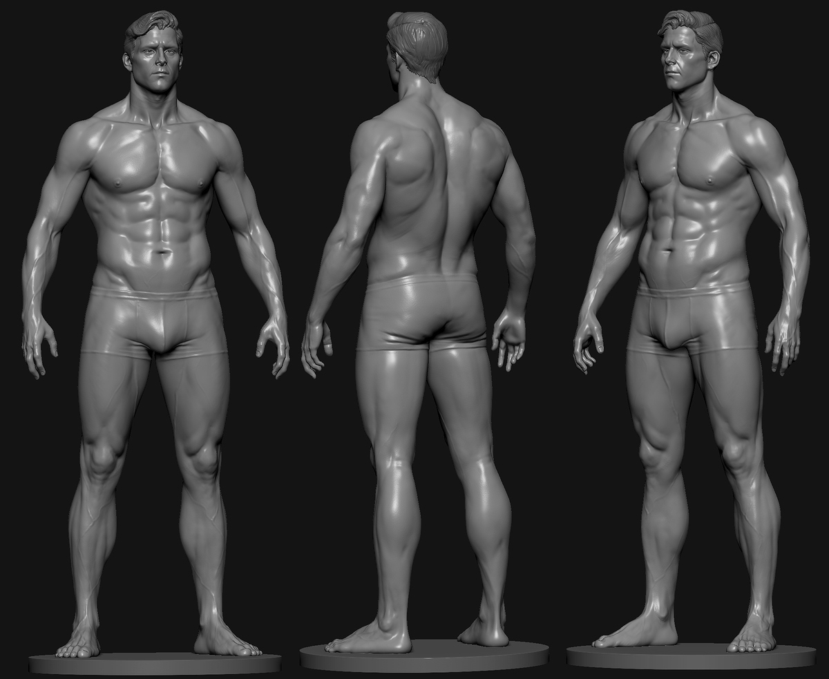 male_anatomy_study (1)