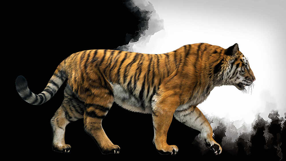 tiger03_PS