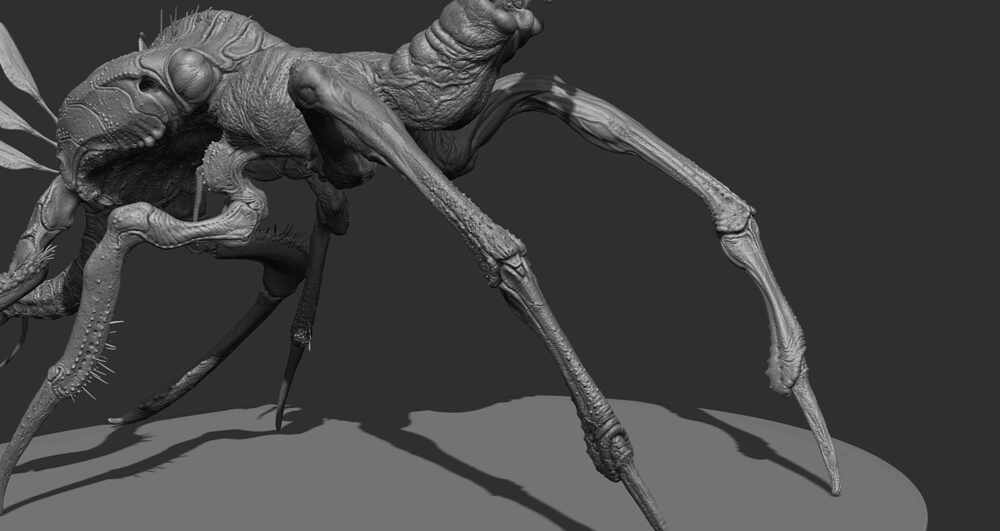 ZBrush Document16