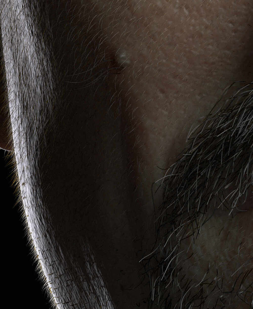 Details_Horizontal_002
