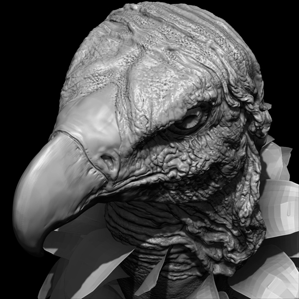 Vulture_top
