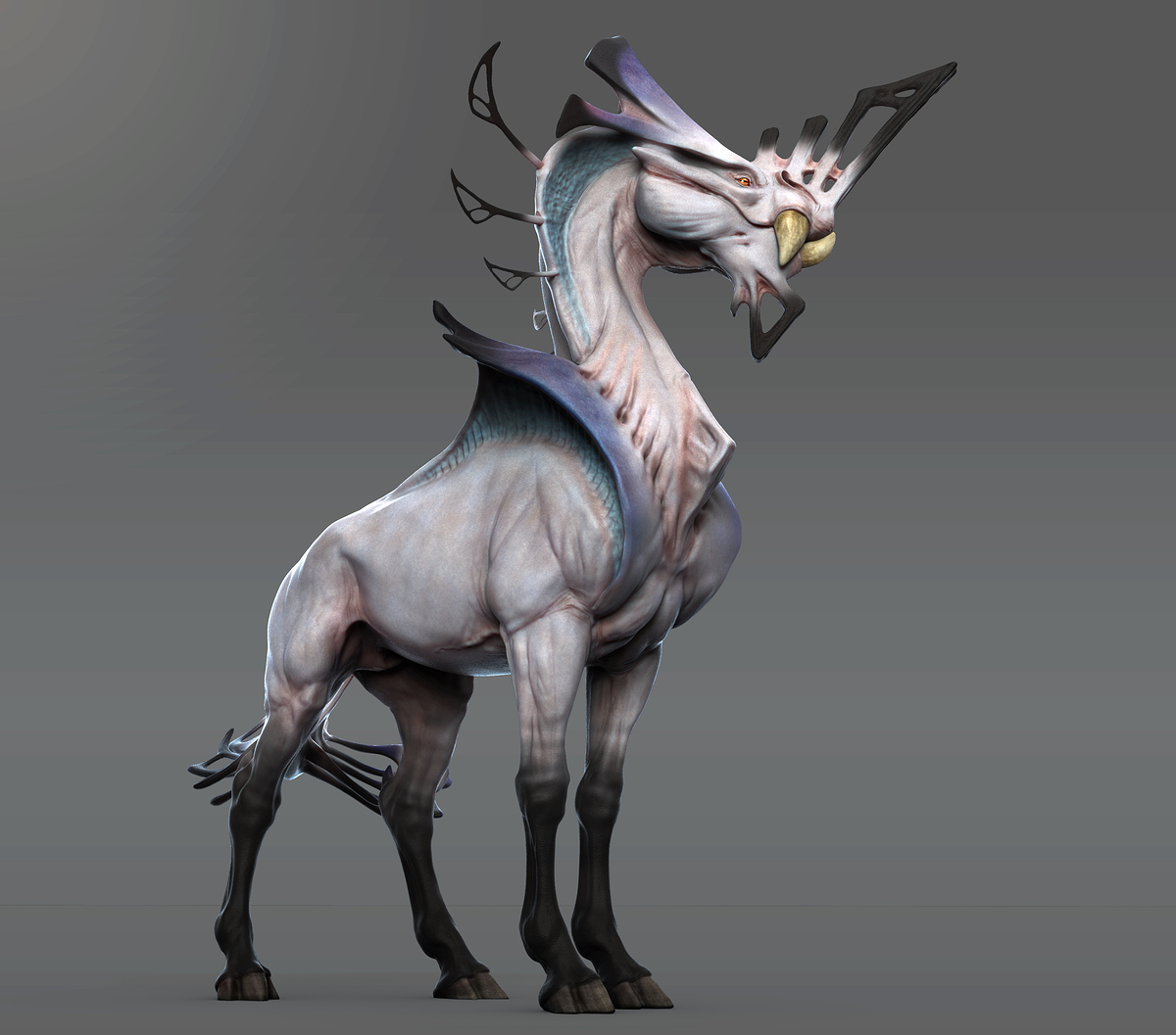 cerimperator.149