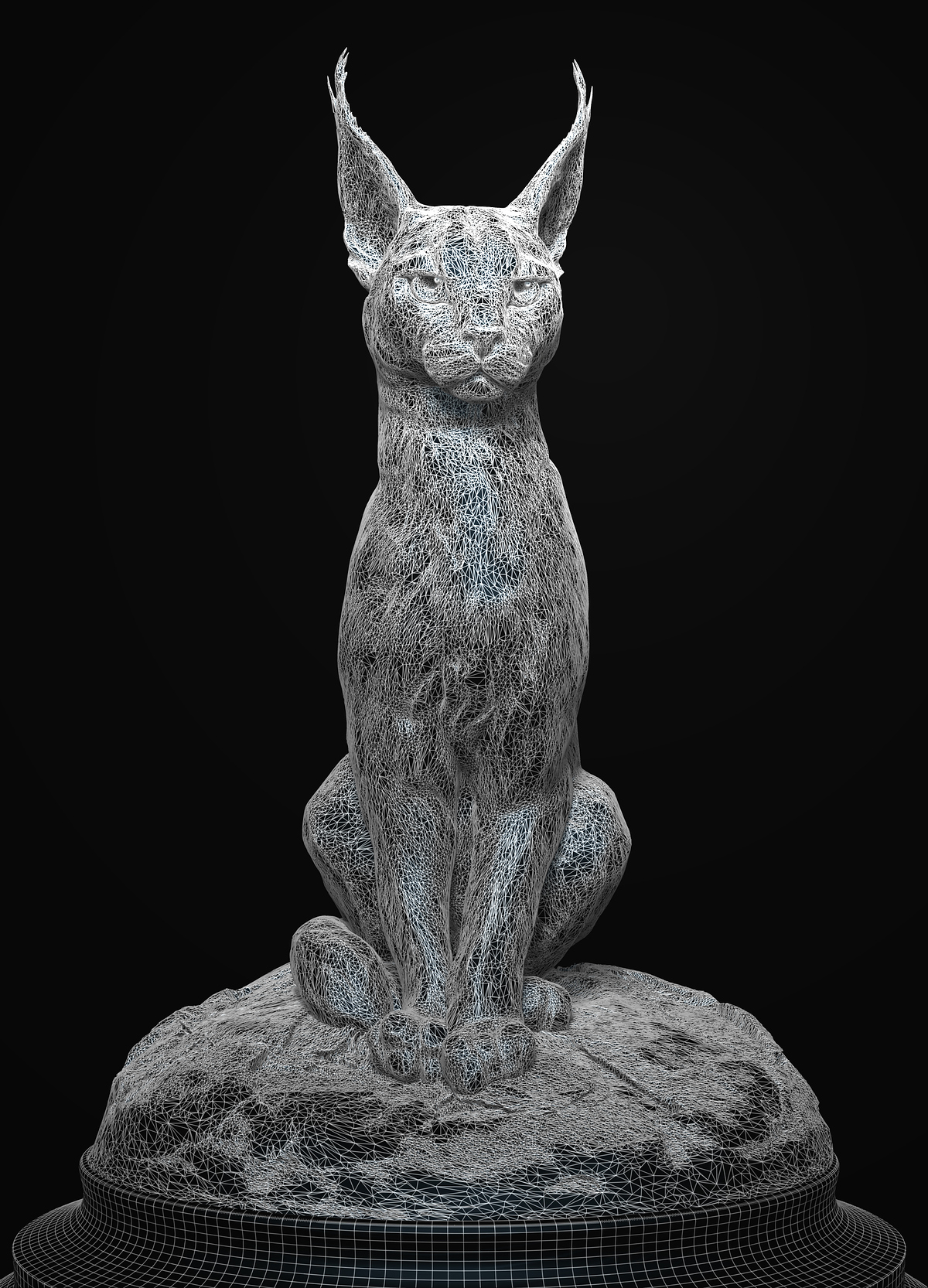 Wired%20Caracal_2